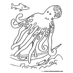 Раскраска: осьминог (Животные) #19087 - Раскраски для печати