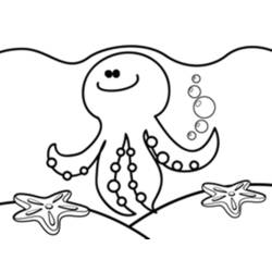 Раскраска: осьминог (Животные) #19097 - Раскраски для печати