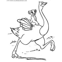 Раскраска: страус (Животные) #737 - Раскраски для печати