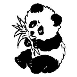 Раскраска: панда (Животные) #12438 - Раскраски для печати