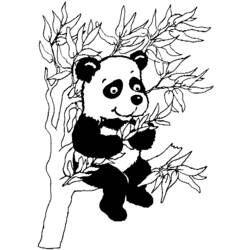 Раскраска: панда (Животные) #12448 - Раскраски для печати