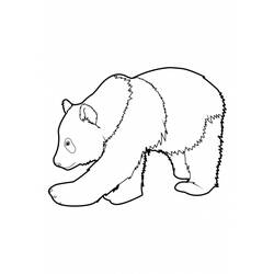 Раскраска: панда (Животные) #12452 - Бесплатные раскраски для печати