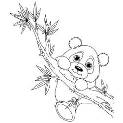 Раскраска: панда (Животные) #12453 - Раскраски для печати