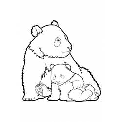 Раскраска: панда (Животные) #12454 - Раскраски для печати