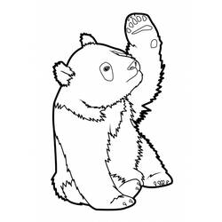 Раскраска: панда (Животные) #12503 - Бесплатные раскраски для печати