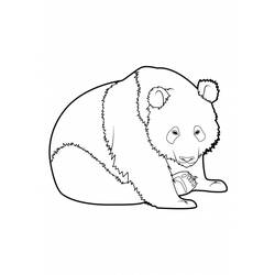 Раскраска: панда (Животные) #12509 - Раскраски для печати