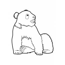 Раскраска: панда (Животные) #12514 - Бесплатные раскраски для печати