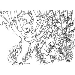Раскраска: панда (Животные) #12603 - Бесплатные раскраски для печати