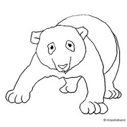 Раскраска: панда (Животные) #12621 - Бесплатные раскраски для печати