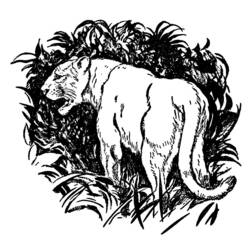 Раскраска: пантера (Животные) #15590 - Бесплатные раскраски для печати