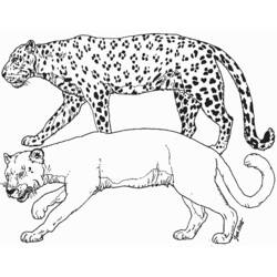 Раскраска: пантера (Животные) #15598 - Раскраски для печати