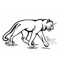Раскраска: пантера (Животные) #15627 - Раскраски для печати