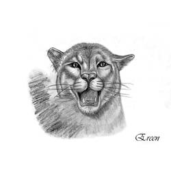 Раскраска: пантера (Животные) #15650 - Раскраски для печати