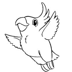 Раскраска: попугай (Животные) #16063 - Бесплатные раскраски для печати