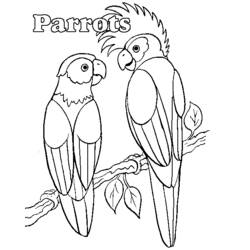 Раскраска: попугай (Животные) #16068 - Бесплатные раскраски для печати