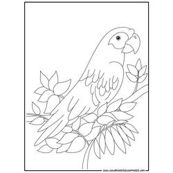 Раскраска: попугай (Животные) #16078 - Раскраски для печати