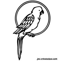 Раскраска: попугай (Животные) #16080 - Раскраски для печати