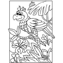 Раскраска: попугай (Животные) #16094 - Бесплатные раскраски для печати
