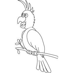 Раскраска: попугай (Животные) #16108 - Бесплатные раскраски для печати