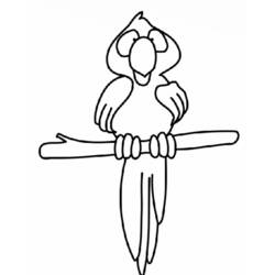 Раскраска: попугай (Животные) #16115 - Бесплатные раскраски для печати