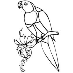 Раскраска: попугай (Животные) #16117 - Бесплатные раскраски для печати