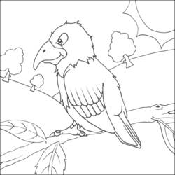 Раскраска: попугай (Животные) #16128 - Бесплатные раскраски для печати
