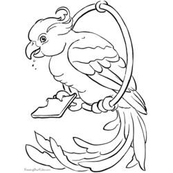 Раскраска: попугай (Животные) #16141 - Раскраски для печати