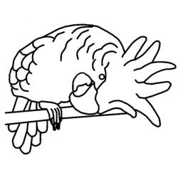 Раскраска: попугай (Животные) #16146 - Бесплатные раскраски для печати
