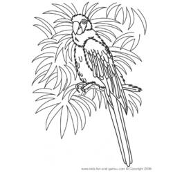 Раскраска: попугай (Животные) #16150 - Бесплатные раскраски для печати