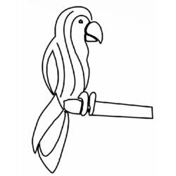 Раскраска: попугай (Животные) #16152 - Бесплатные раскраски для печати