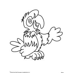 Раскраска: попугай (Животные) #16161 - Бесплатные раскраски для печати