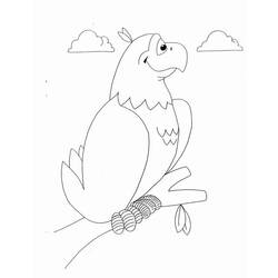 Раскраска: попугай (Животные) #16171 - Бесплатные раскраски для печати
