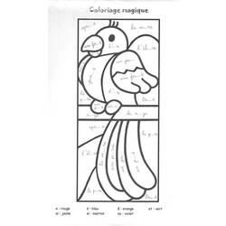 Раскраска: попугай (Животные) #16179 - Бесплатные раскраски для печати