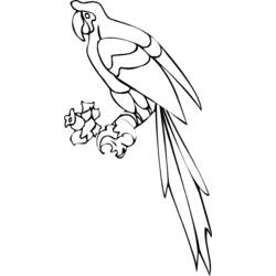 Раскраска: попугай (Животные) #16184 - Раскраски для печати