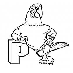 Раскраска: попугай (Животные) #16187 - Бесплатные раскраски для печати