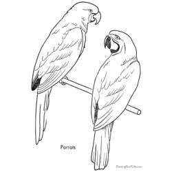 Раскраска: попугай (Животные) #16194 - Раскраски для печати