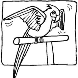 Раскраска: попугай (Животные) #16206 - Бесплатные раскраски для печати