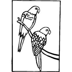Раскраска: попугай (Животные) #16212 - Бесплатные раскраски для печати