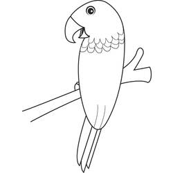 Раскраска: попугай (Животные) #16239 - Раскраски для печати