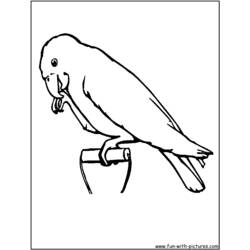 Раскраска: попугай (Животные) #16241 - Бесплатные раскраски для печати