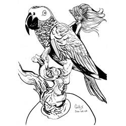 Раскраска: попугай (Животные) #16242 - Бесплатные раскраски для печати