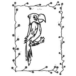 Раскраска: попугай (Животные) #16245 - Бесплатные раскраски для печати