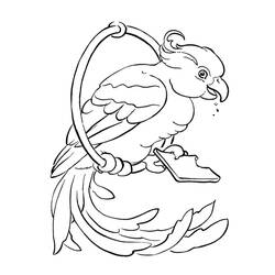 Раскраска: попугай (Животные) #16252 - Раскраски для печати