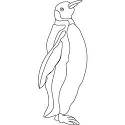 Раскраска: гагарка (Животные) #16860 - Бесплатные раскраски для печати