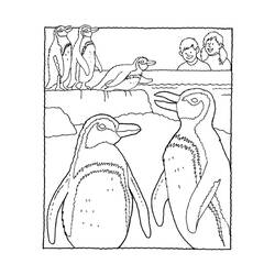 Раскраска: гагарка (Животные) #16901 - Бесплатные раскраски для печати