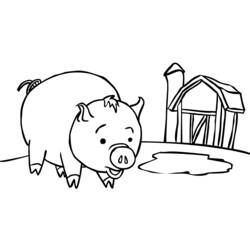 Раскраска: свинья (Животные) #3598 - Раскраски для печати
