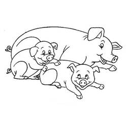 Раскраска: свинья (Животные) #3601 - Раскраски для печати