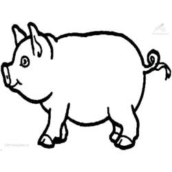 Раскраска: свинья (Животные) #3603 - Раскраски для печати