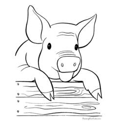 Раскраска: свинья (Животные) #3605 - Бесплатные раскраски для печати