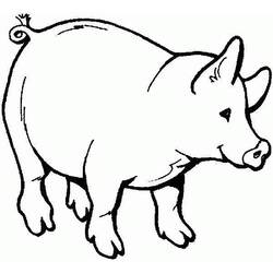 Раскраска: свинья (Животные) #3610 - Раскраски для печати